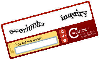 recaptcha-example.gif